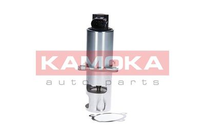 EGR Valve KAMOKA 19010