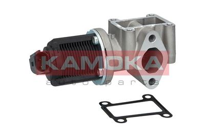 EGR Valve KAMOKA 19013