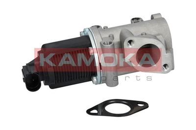 EGR Valve KAMOKA 19014