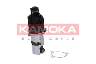 EGR Valve KAMOKA 19015