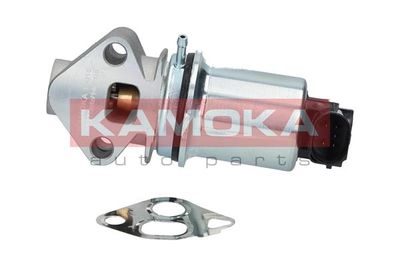 EGR Valve KAMOKA 19016