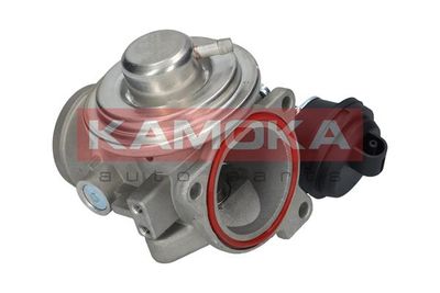 EGR Valve KAMOKA 19024