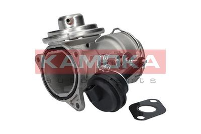 EGR Valve KAMOKA 19033