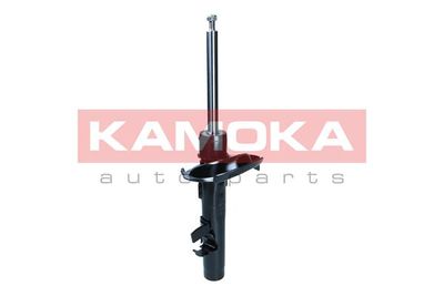 Shock Absorber KAMOKA 2000319