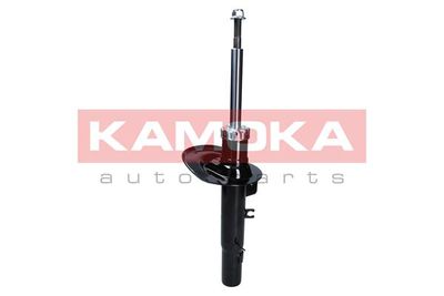 Shock Absorber KAMOKA 2000506