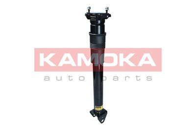 Air Suspension Strut KAMOKA 2070014