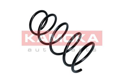 Suspension Spring KAMOKA 2110005