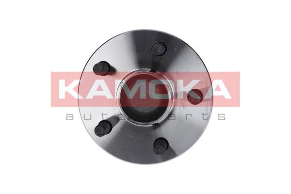 KAMOKA 5500093 Wheel Bearing Kit