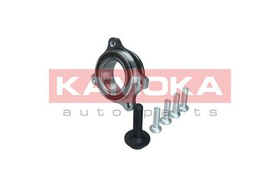 Wheel Bearing Kit KAMOKA 5500174