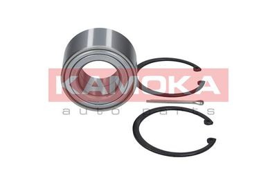 Wheel Bearing Kit KAMOKA 5600023