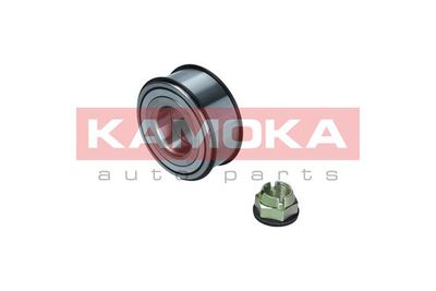 Wheel Bearing Kit KAMOKA 5600042
