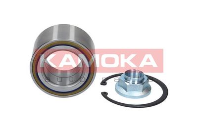 Wheel Bearing Kit KAMOKA 5600043