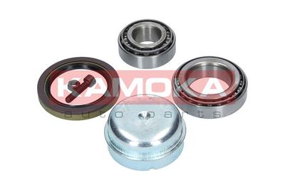 Wheel Bearing Kit KAMOKA 5600060