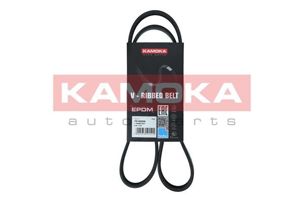 KAMOKA 7016059 V-Ribbed Belt