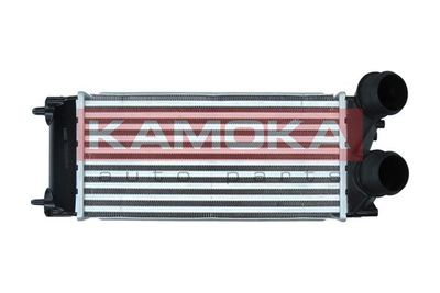 Charge Air Cooler KAMOKA 7750036