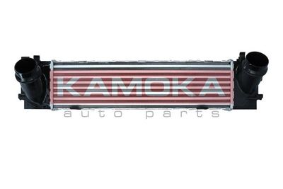 Charge Air Cooler KAMOKA 7750050