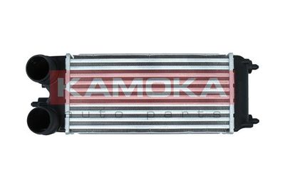 Charge Air Cooler KAMOKA 7750051