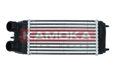 Charge Air Cooler KAMOKA 7750068