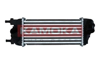 Charge Air Cooler KAMOKA 7750141