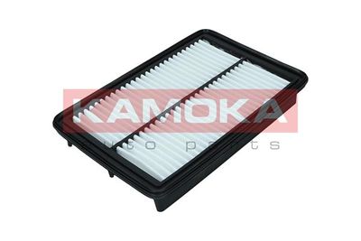 Air Filter KAMOKA F246301