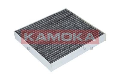 Filter, cabin air KAMOKA F509901