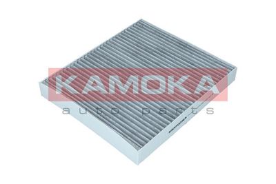 Filter, cabin air KAMOKA F513601