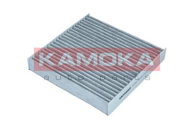 Filter, cabin air KAMOKA F517601