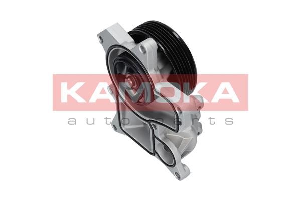 KAMOKA T0048 Water Pump, engine cooling