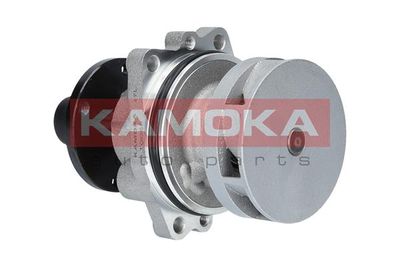 Water Pump, engine cooling KAMOKA T0058