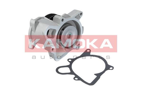 KAMOKA T0173 Water Pump, engine cooling