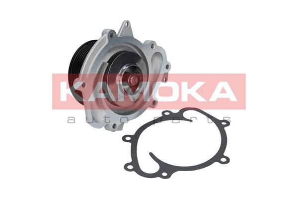 KAMOKA T0191 Water Pump, engine cooling