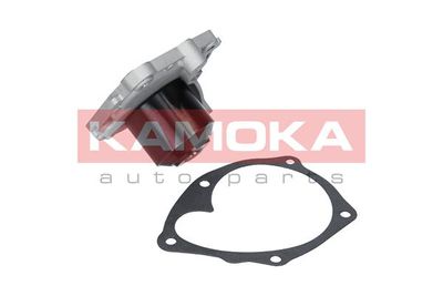 Water Pump, engine cooling KAMOKA T0220