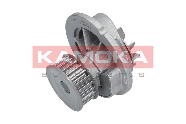 KAMOKA T0231 Water Pump, engine cooling