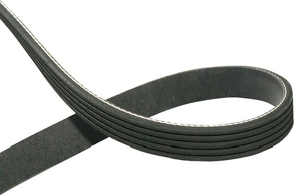 Kavo Parts DMV-3015 V-Ribbed Belt