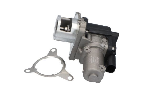 Kavo Parts EEG-3021 EGR Valve