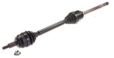 Drive Shaft LÖBRO 304910