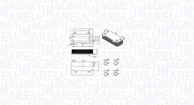 Oil Cooler, engine oil MAGNETI MARELLI 350300003700