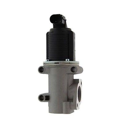 MAGNETI MARELLI 571822112006 EGR Valve