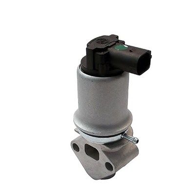 EGR Valve MAGNETI MARELLI 571822112018