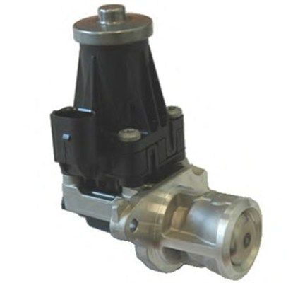 MAGNETI MARELLI 571822112072 EGR Valve