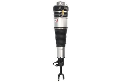 Air Suspension Strut Magnum Technology APA001MT