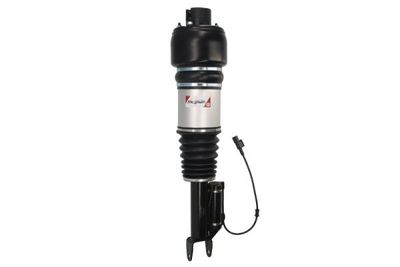 Air Suspension Strut Magnum Technology APM002MT