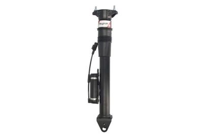 Air Suspension Strut Magnum Technology APM004MT