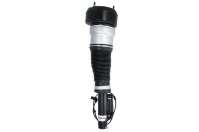 Air Suspension Strut Magnum Technology APM013MT