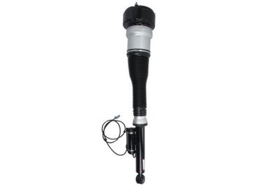 Air Suspension Strut Magnum Technology APM015MT