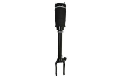 Air Suspension Strut Magnum Technology APM020MT