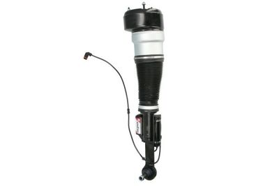 Air Suspension Strut Magnum Technology APM021MT