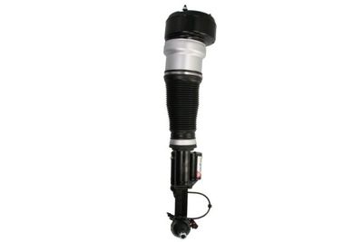 Air Suspension Strut Magnum Technology APM022MT