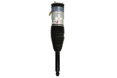 Air Suspension Strut Magnum Technology APQ002MT