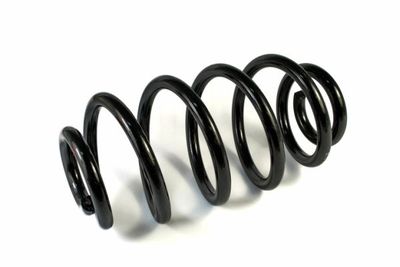 Suspension Spring Magnum Technology SM091MT